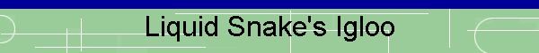 Liquid Snake's Igloo