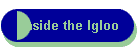Inside the Igloo