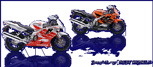 cycle_specs.gif (25932 bytes)